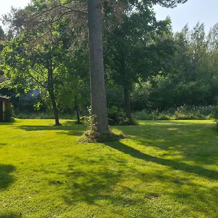 Merenkurkku