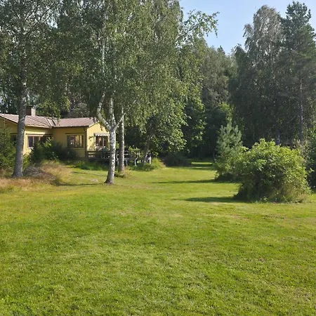 Merenkurkku * Molpe
